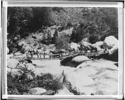Pack train with horses crossing Big Creek on a suspension bridge at Big Creek #1