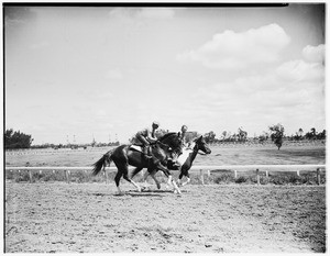 Hollypark races, 1951
