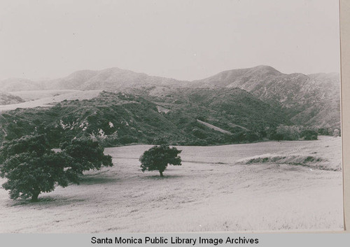 View of the Founder's Oak Island looking up Temescal Canyon in Pacific Palisades, Calif