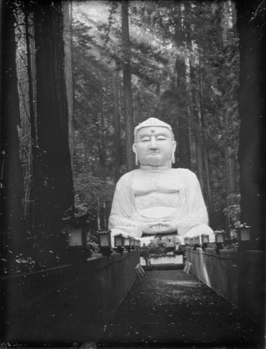 Buddha, Bohemian Grove. [transparency]