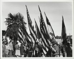 Boy Scouts in Gravenstein Apple Show parade, Sebastopol, California, 1939