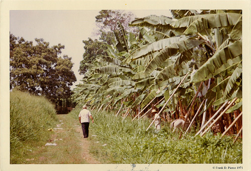 Banana Import Company, Dominican Republic, Pierce Photo 29, © 1971 Frank D. Pierce
