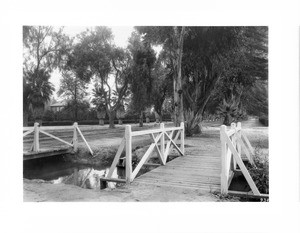 Magnolia Avenue, Riverside, showing bridges over the water ditches, ca.1900