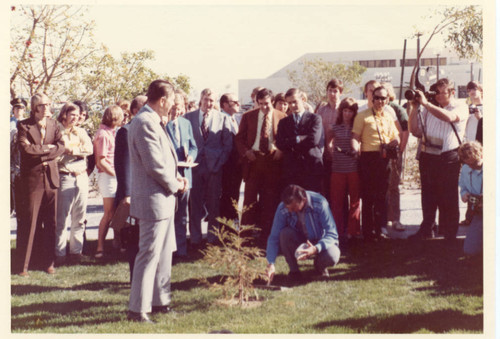 Governor Reagan in front of the tree