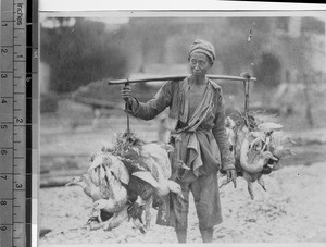 Man carrying live ducks to market, Leshan, Sichuan, China ca.1915-1925