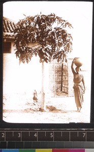 Woman and Indian fruit tree, Andhra Pradesh, India, s.d