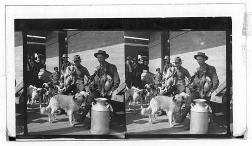 First trophies of an open season scene at a railroad station, in South Dakota