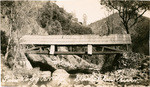 Pine Logg Bridge, Stanislaus River