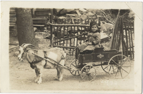 George McEachin with goat cart