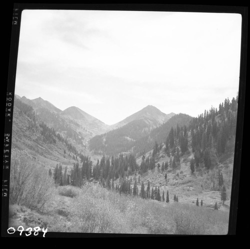 Mineral King Valley, towards Farewell Gap