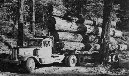 Diamond Match logging truck (Butte Meadows - Jonesville area.)