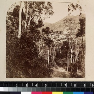 Distant view of village through trees, Madagascar, ca. 1865-1885