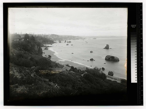A Glimpse of the Ocean, California/Coast Scene, Humboldt Co