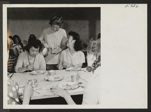 Girls of all nationalities attend the summer Y.M.C.A. harvest camp at Pueblo, Colorado. The camp of '43 welcomed girls of Japanese ancestry, who were residing at a relocation center in Colorado. Photographer: Parker, Tom Pueblo, Colorado