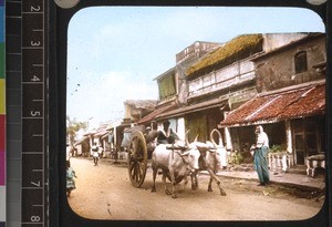 Missionary bullock cart in Indian town, south India, 1924