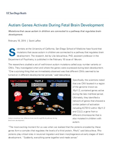 Autism Genes Activate During Fetal Brain Development