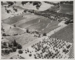 Aerial view of an unidentified area near Healdsburg, California, 1953