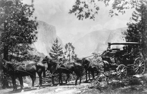 Group in a horse-drawn carriage in Yosemite