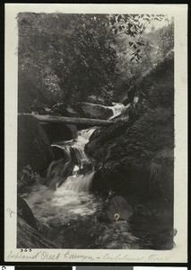 Ashland Creek Canyon in Ashland, Oregon