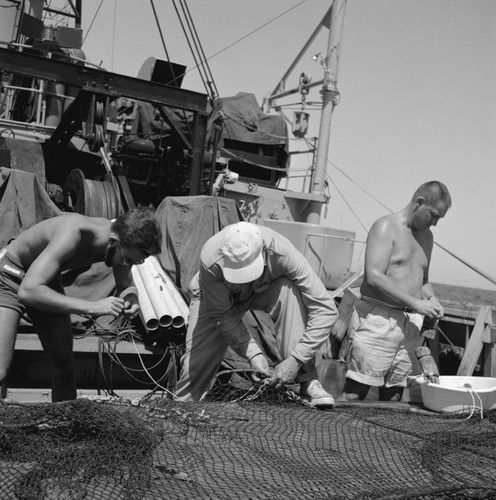 [Oceanographers preparing trawl for deployment on deck]