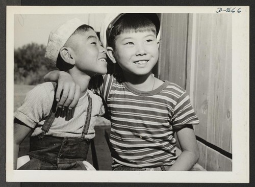 Parker, Arizona--These two little evacuees of Japanese ancestry are getting acquainted at this War Relocation Authority center. Photographer: Stewart, Francis Poston, Arizona
