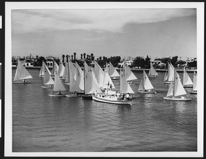 Thirty sailboats clustered closely together on the sea near land, ca.1940
