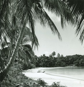 A beach in New Caledonia
