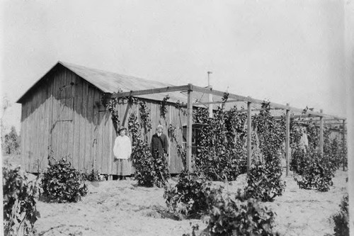 Photograph of Cucamonga Winery (Mission Winery) donated during John Russell Heath interview