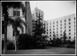 Exterior view of Cedars of Lebanon Hospital