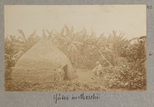 Hut in Moshi, Moshi, Tanzania, ca.1895-1905
