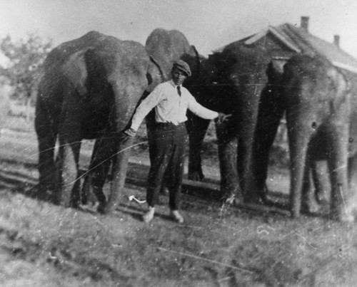 Robert McNeal with elephants