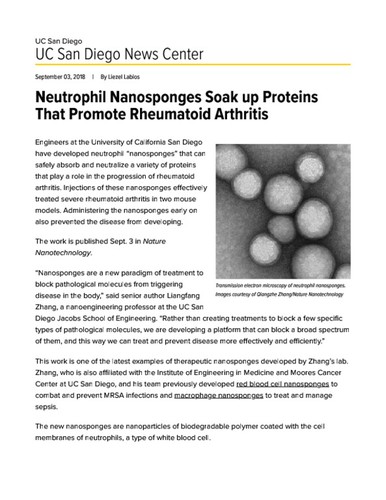 Neutrophil Nanosponges Soak up Proteins That Promote Rheumatoid Arthritis