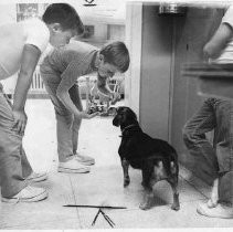 Saint Patrick's Home interior view: 3 boys feeding a dog