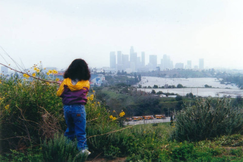 View from Elysian Park