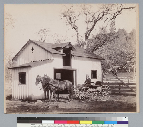 Stable and team (horses and carriage), Josephine Mine, Fresno County, California. [photographic print]