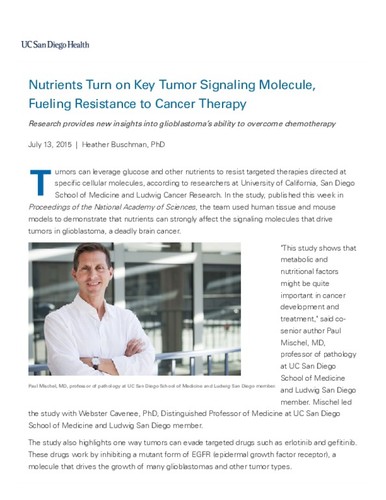Nutrients Turn on Key Tumor Signaling Molecule, Fueling Resistance to Cancer Therapy
