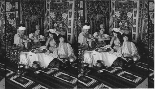 Feasting in the Harem, Typical costumes and furniture, Turkey