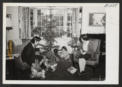 Masami Yoshida and Kiyo Nakagawa watch Jerry Nakagawa and Dorothy Yoshida playing around the Christmas tree in the living room