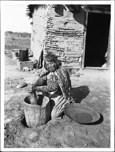Mojave Indian woman pounding mesquite beans in a metate made from the stump of a tree, ca.1900