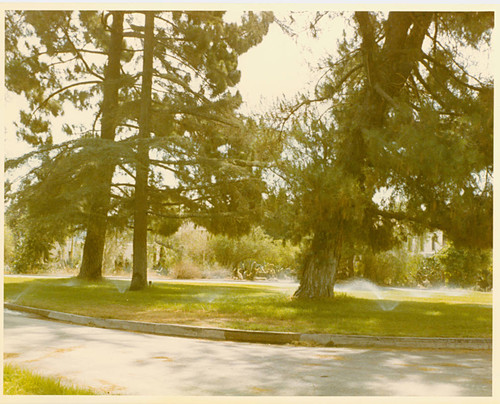 View of sprinklers watering lawn under trees, and former Veterans Memorial Hospital