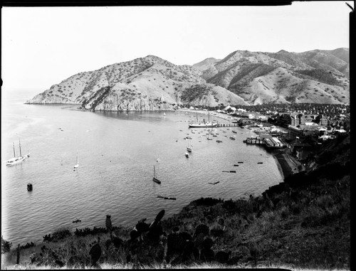 Avalon Bay, Catalina Island