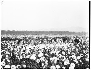 A close-up view of women posing in a sunflower field