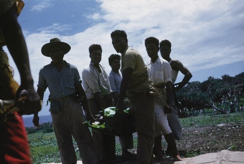Natives preparing for a luau for the scientist of the Capricorn Expedition (1952-1953) on the island of Tongatabu in the Kingdom of Tonga, an archipelago in the South Pacific Ocean. December 26, 1952