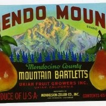 Mendo Mount Brand