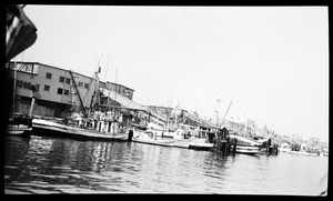 View of Fish Harbor, showing boats docked in front of the Van Camp cannery, San Pedro, 1954