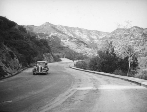 Car driving in Griffith Park