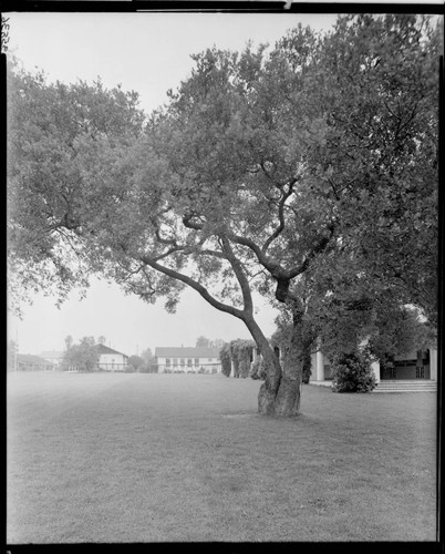 School yard, Polytechnic Elementary School, 1030 East California, Pasadena. June 1939
