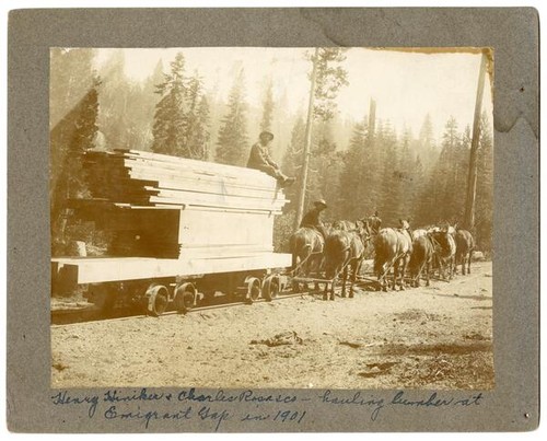Henry Hiniker and Charles Rosasco hauling lumber at Emigrant Gap in Placer County