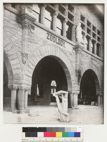[Fallen Louis Agassiz statue. Stanford University.]