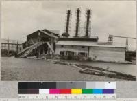 San Vicente Lumber Company. Santa Cruz, California. June 1921, E.F